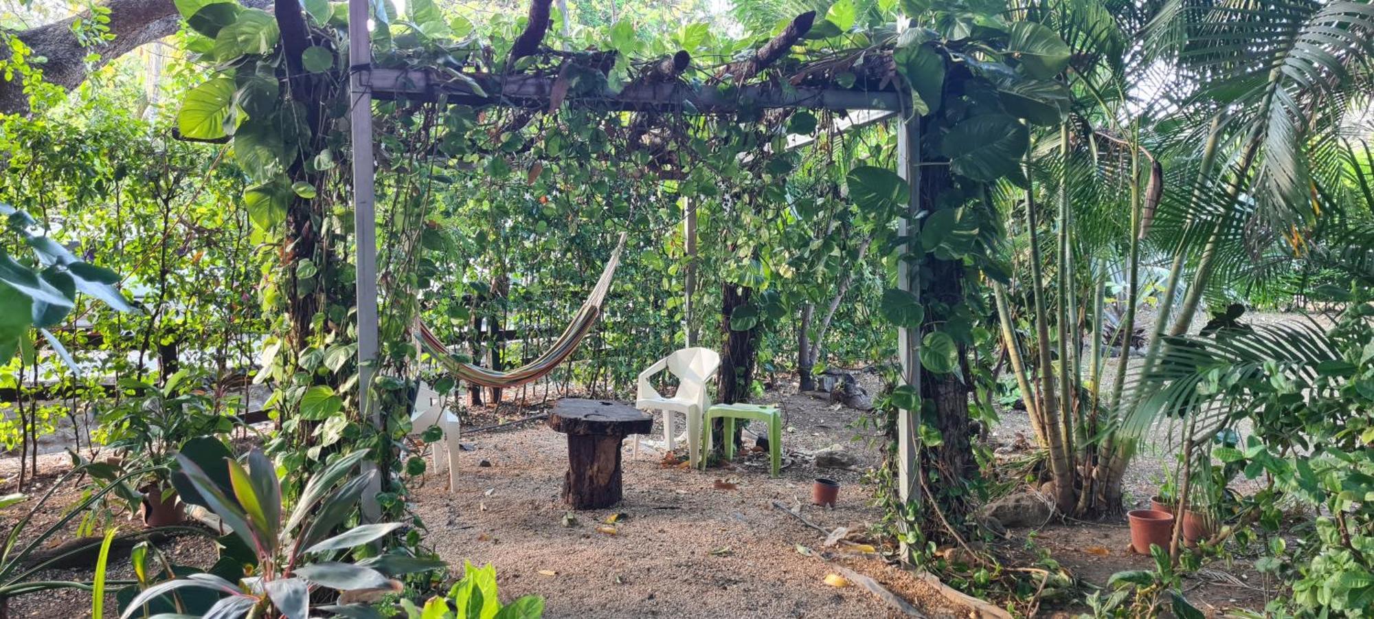 Congos Hostal Y Camping Playa Hermosa  Buitenkant foto